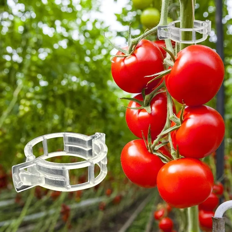 Plastic Plant Clips Supports Reusable for Vegetables and Fruits