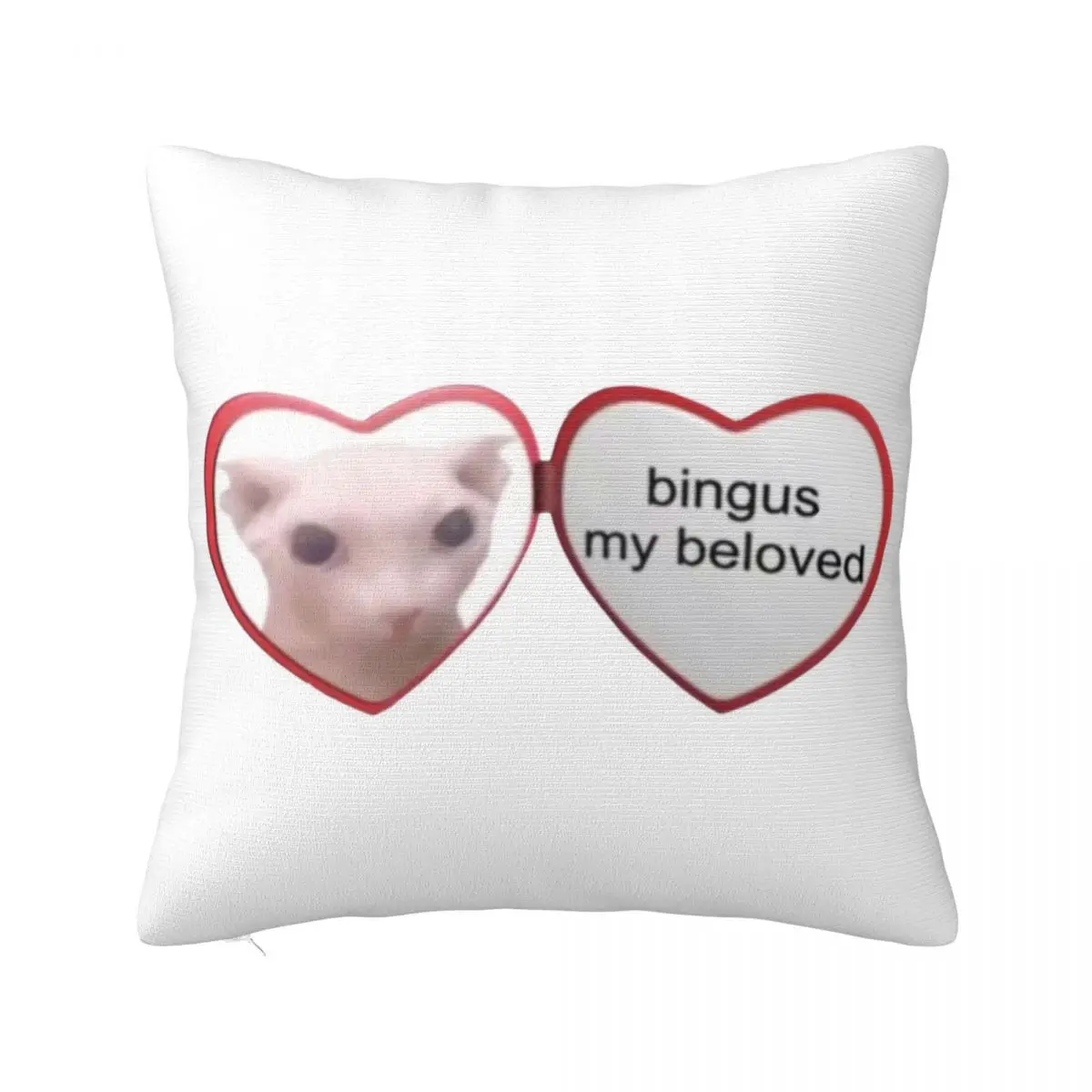 Bingus My Beloved Pillow Cases Sphynx Cat Cushion Cover Custom Polyester  Decor Pillowcover for Home 45x45cm - AliExpress