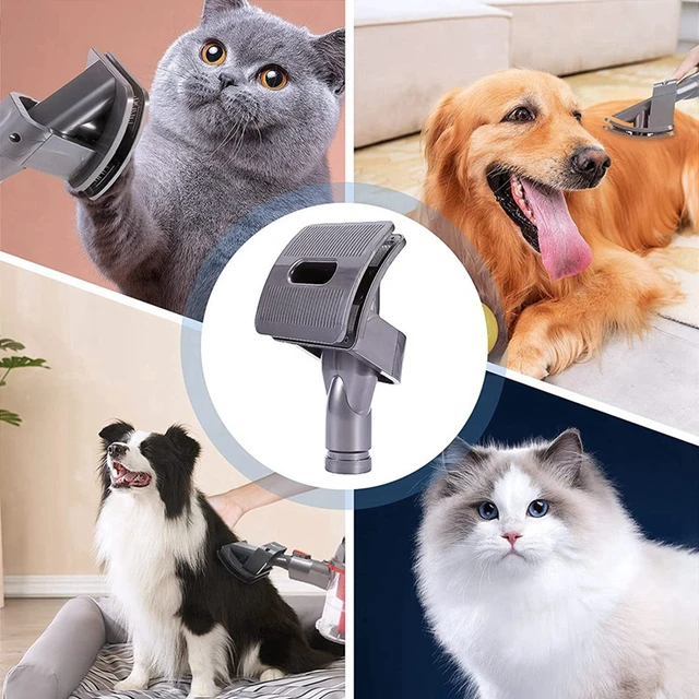 Best Rated Dog Vacuum Attachment edu.svet.gob.gt