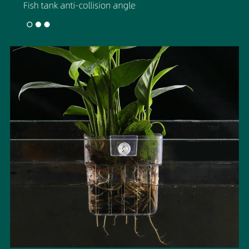 Hanging Aquarium Planter Cups Wall Mounted Aquatic Plants Holder Fish Tank Ornaments