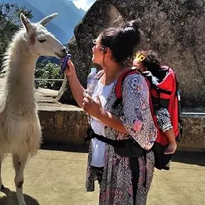 llama