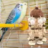 Coconut Shell Parrot Chewing Toy Hanging Natural Wooden Parrot Cage Bite Toy Medium Large Bird Supplies игрушки для попугаев 3