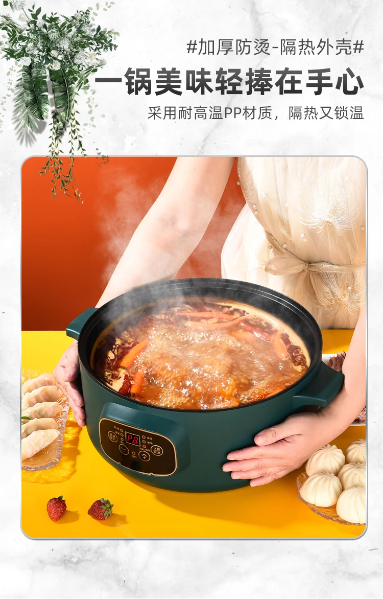 APIX Electric Seiro Steamer AMZ-450 steam cooker 100v – WAFUU JAPAN