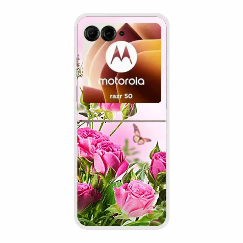 Cartoon Design Transparent Hard Plastic Back Cover Case