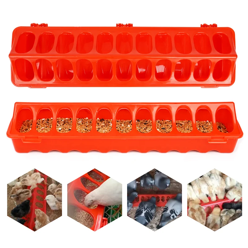 Poultry feeder 1Pcs poultry chicken feeder fountain 12-28 holes chick bird chicken feeding ground 20/30/40/50cm