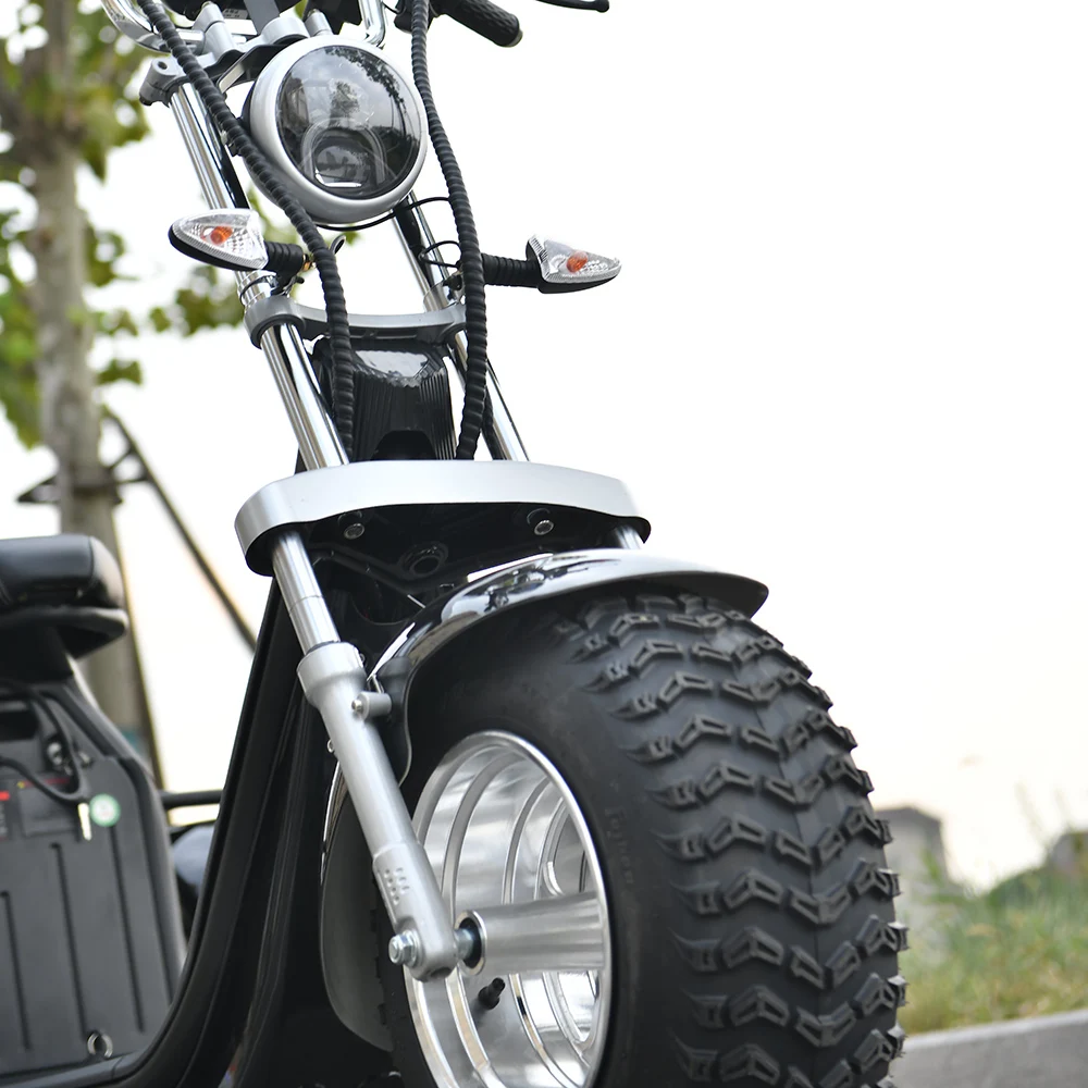 Electric Scooter Adult 3 Wheel 2000W Motor Max Speed 35-45KM/H Max Load 250KG 18 Inch Off road Fat Tire