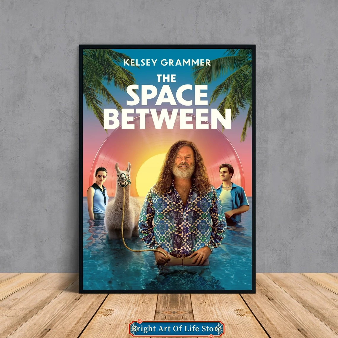 

The Space Between (2021) Movie Poster Cover Photo Canvas Print Apartment Home Decor Wall Painting (Unframed)