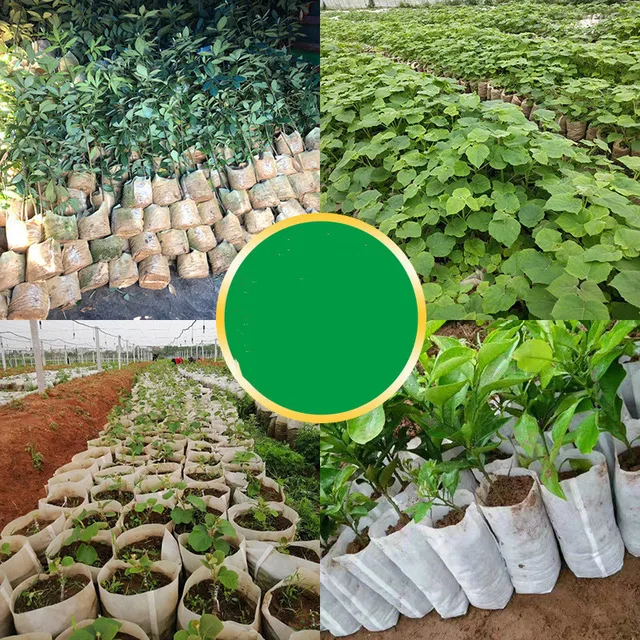 Új 100Db Palánták Növények Óvodai Zsákok Organic Biodreate Biode Degradable Grow Tags Szövet Környezetbarát Szellőztető Ültetési Táskák - Image 5