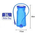 3L