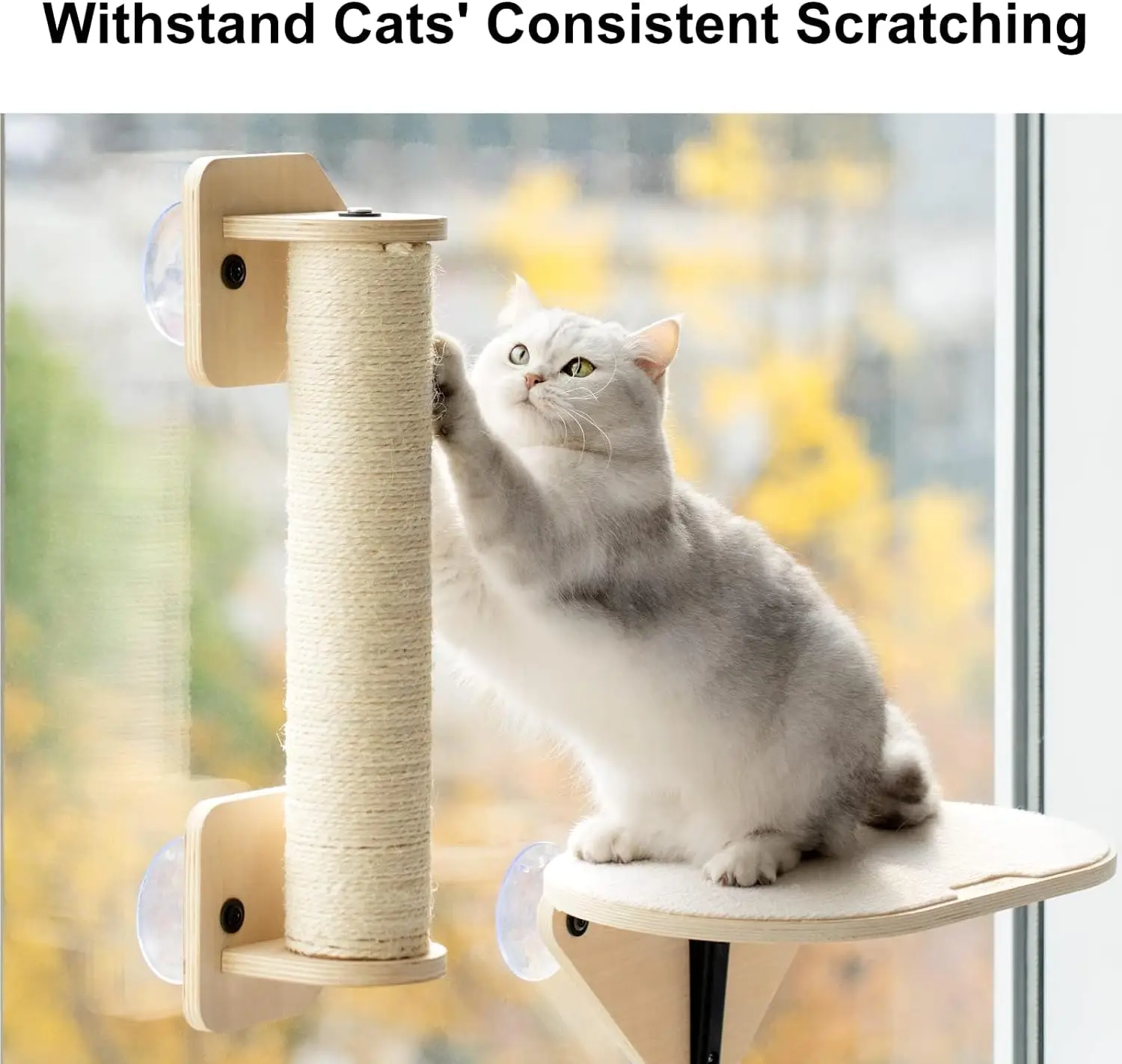 Mewoofun Cat Window Perch Hammock with Climbing Steps and