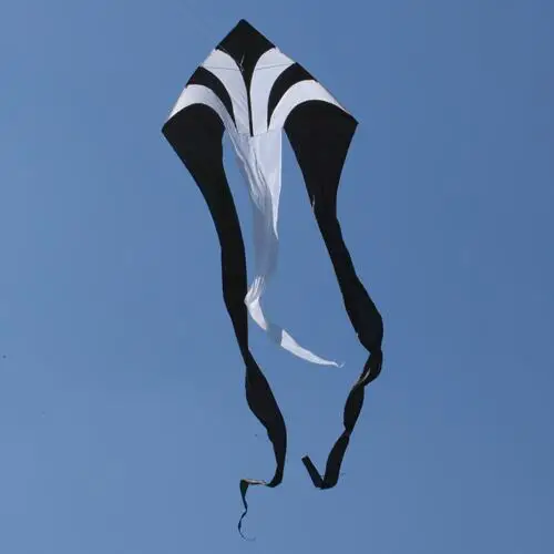 NEW 7m Power Rainbow Triangle /Delta Kites With Kite Handle and Line Good Flying 3