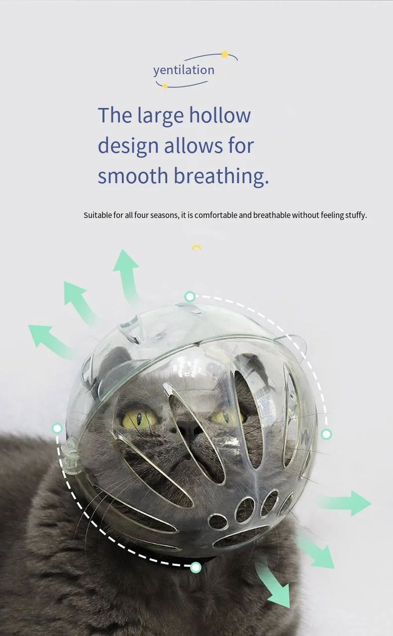 A grey cat wearing the transparent space headgear with green arrows indicating smooth airflow and 360-degree ventilation for comfortable, all-season use.