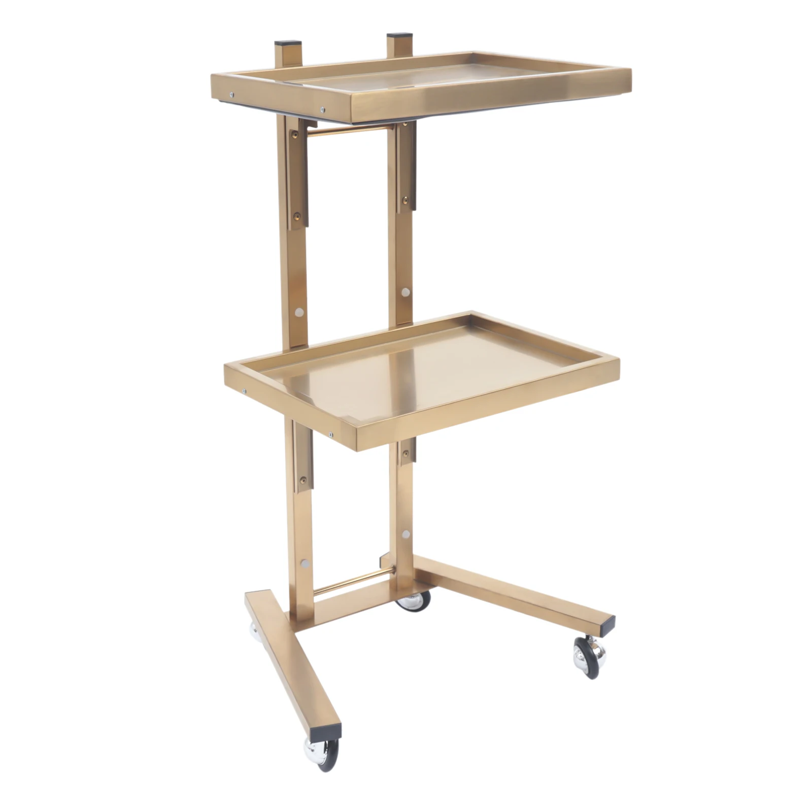 2 Floors Stainless Steel Salon Trolley Folding Cart Storage Holder with 4 Wheels Load 44lbs