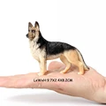 Shepherd Dog
