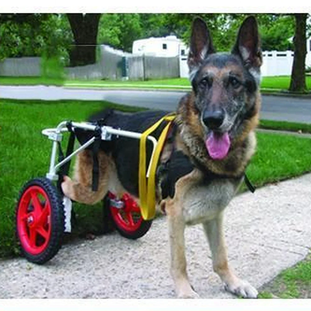Larrge Size Pet Wheelchair Dog Walking Wheelchair Disabled Dog