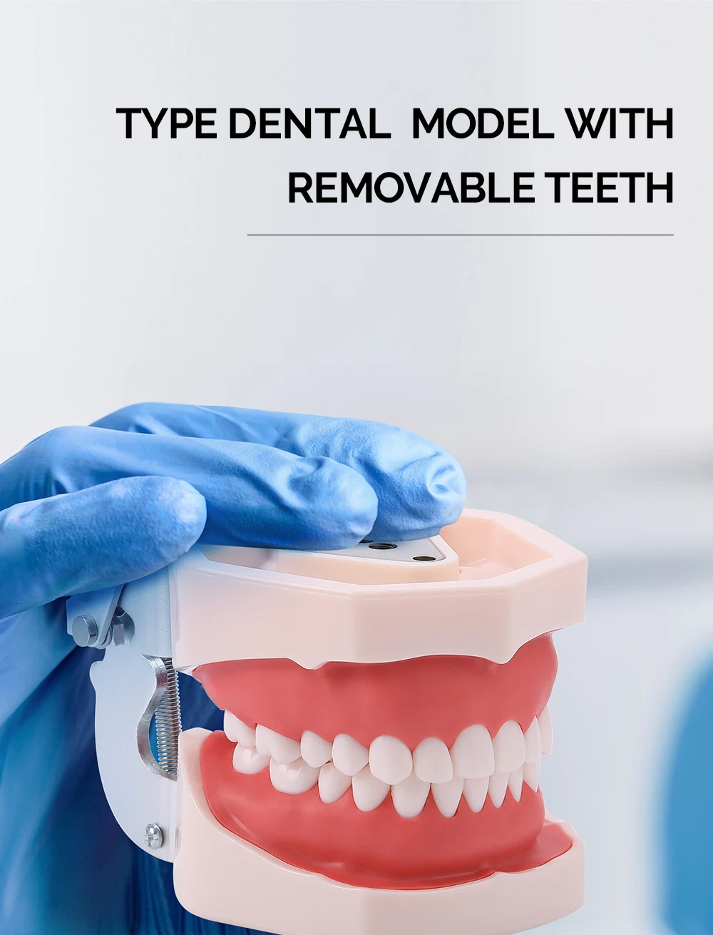 dental com dentes removíveis Typodont, Equipamentos odontológicos