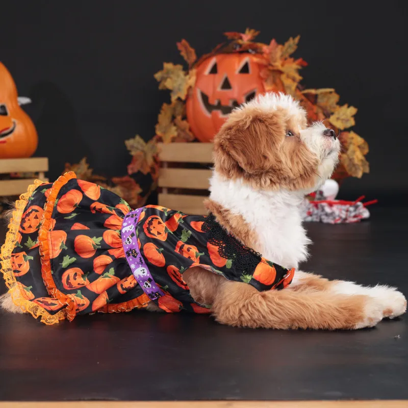 Robe d’Halloween pour Chihuahua - Costume Citrouille - 2025 - Vêtement et accessoires pour chiens - Doglovedesign
