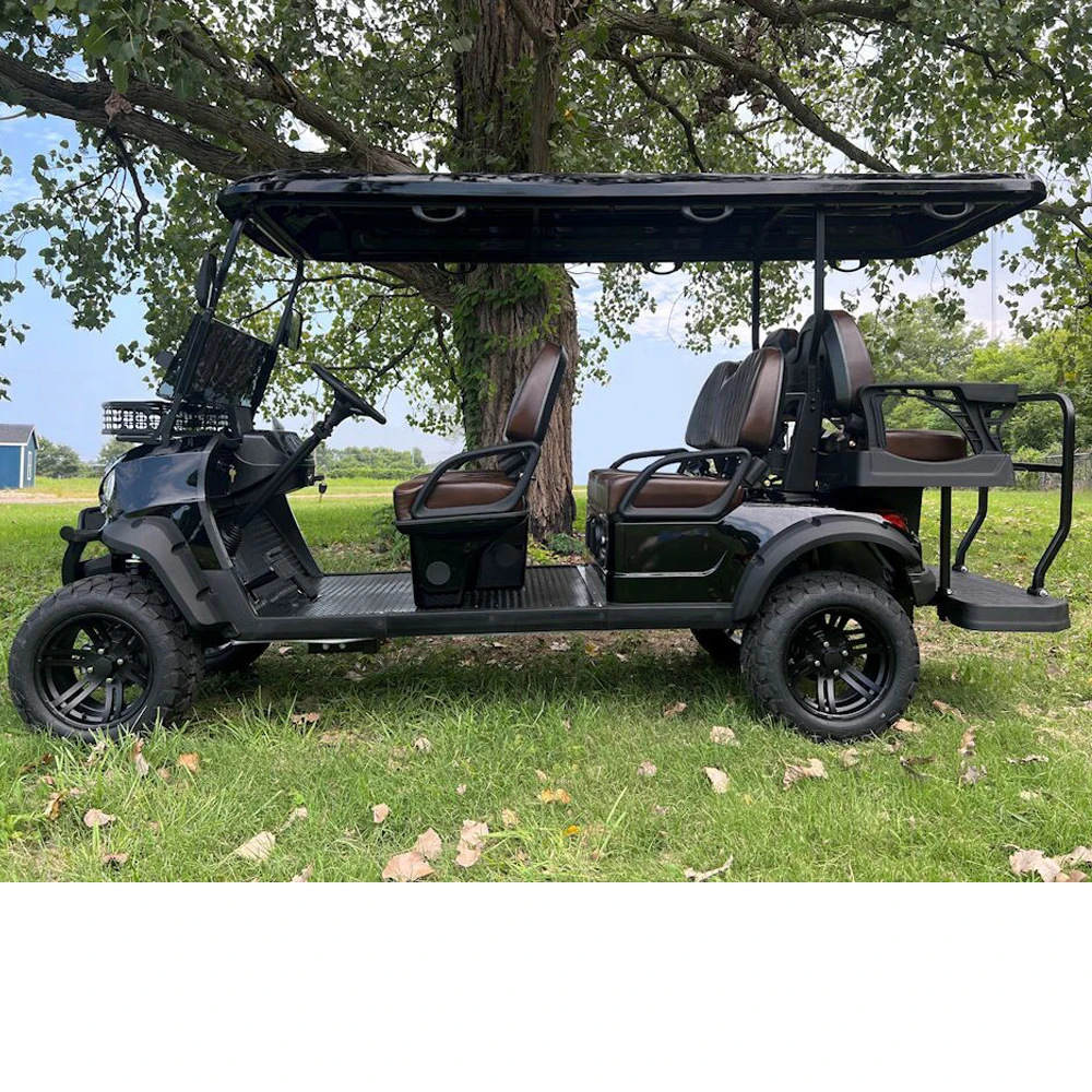 Commercio All'Ingrosso Classico Lusso 6 Posti Custom Street Legal Off-Road 48V Batteria Al Litio Carrello Da Golf Elettrico Con Pannello Solare