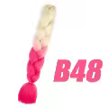 B48