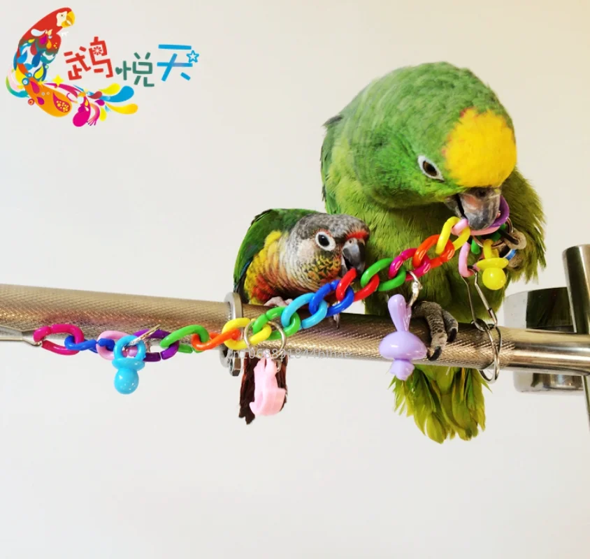 Parrot Toy Bird Toy Bird Swing Toy Bird Cage Accessories Pet Supplies Toy Parrot Toys Colorful Acrylic Bridge Cage Bird Funny Hanging Accessories Swing Toys Chain Exercise
