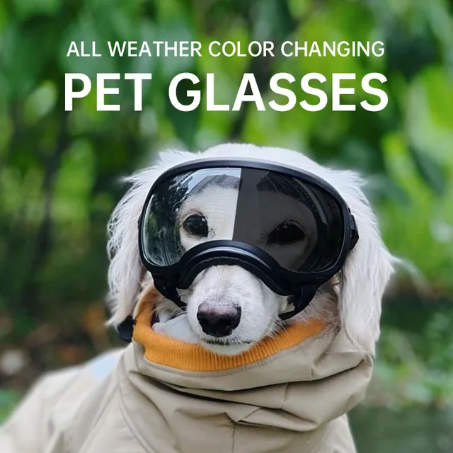 Color changing pet glasses, dog goggles, size dog sunglasses, snow glasses, UV resistant dog sunglasses 1