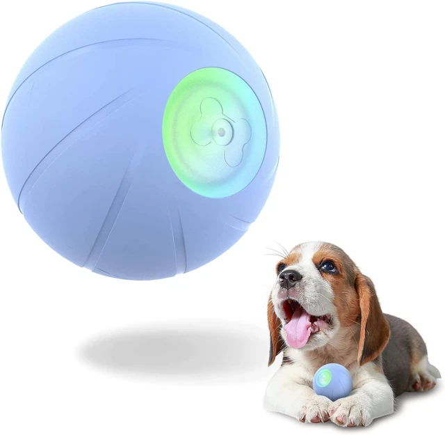 Interactive Dog Ball Toys, Active Rolling Ball for Indoor Dogs/Cats with  Motion Activated/USB Rechargeable, Moving Bouncing Ball pet Puzzle Toy