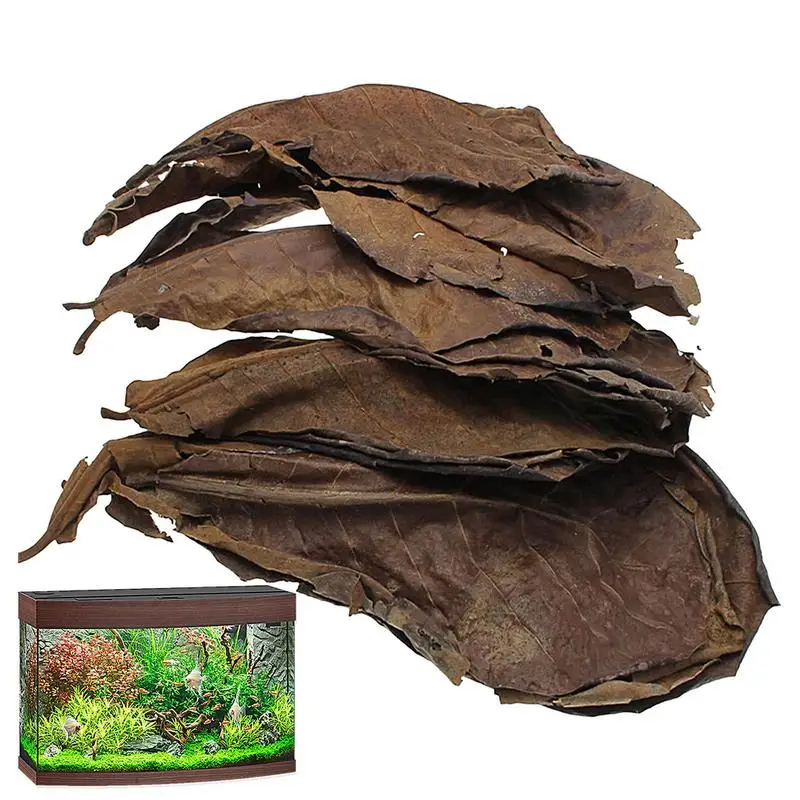 Aquarium Leaves Terminalia Catappa Leaves PH Balance Water Conditioner Betta Fish Toys Lower pH Level