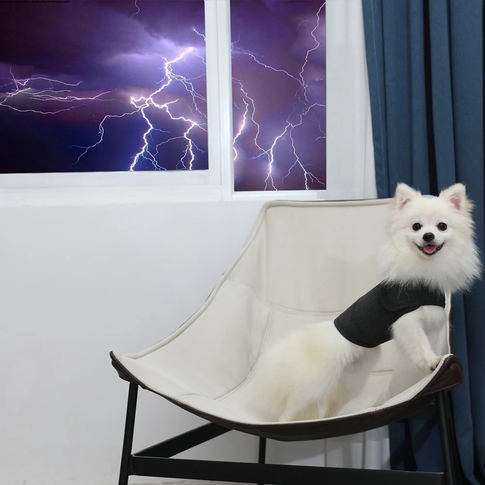 Dog Thunder Vest XS-XL 4