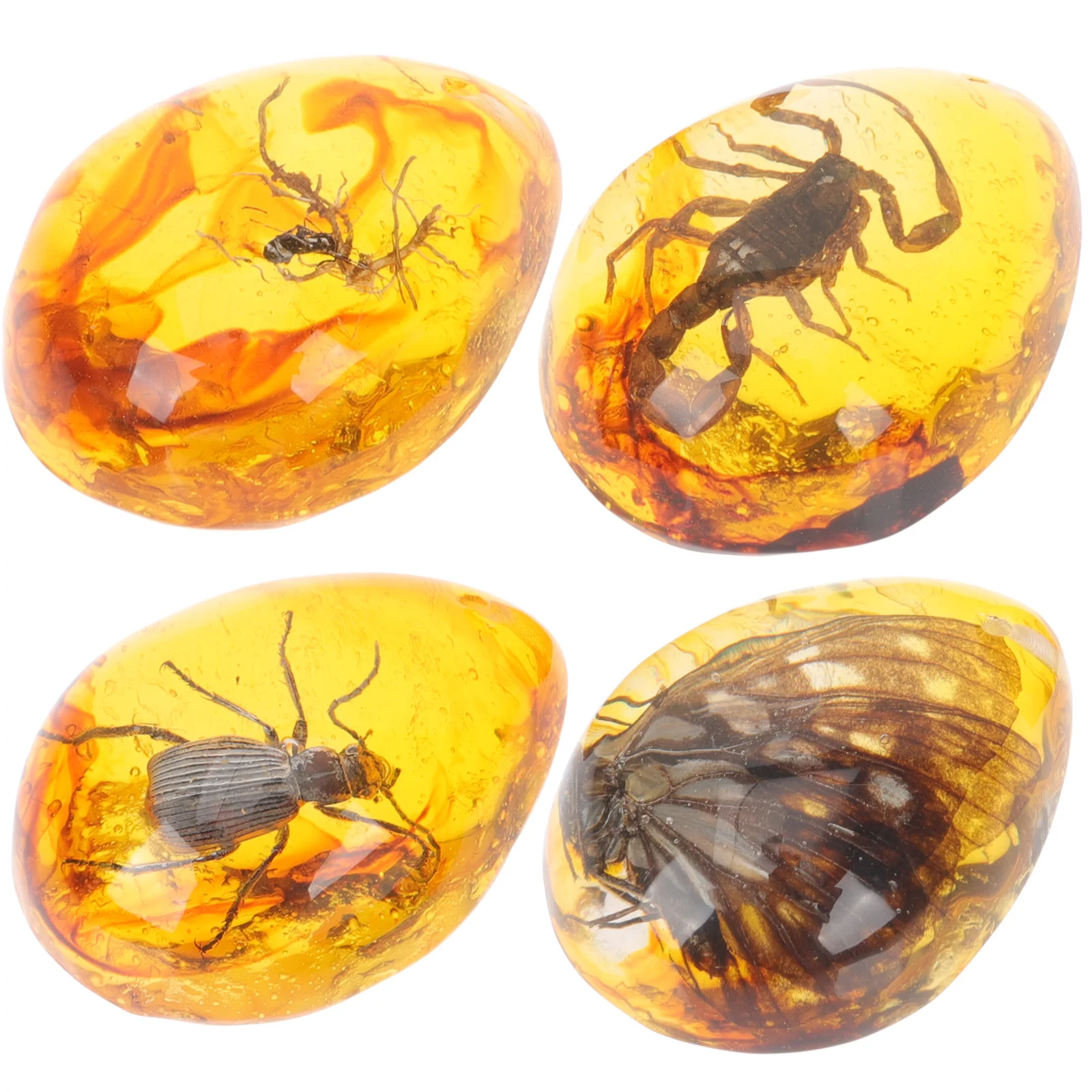 

4 Pcs Insect Amber Specimen DIY Resin Insects Crafts Pendants Decorative Bug Large