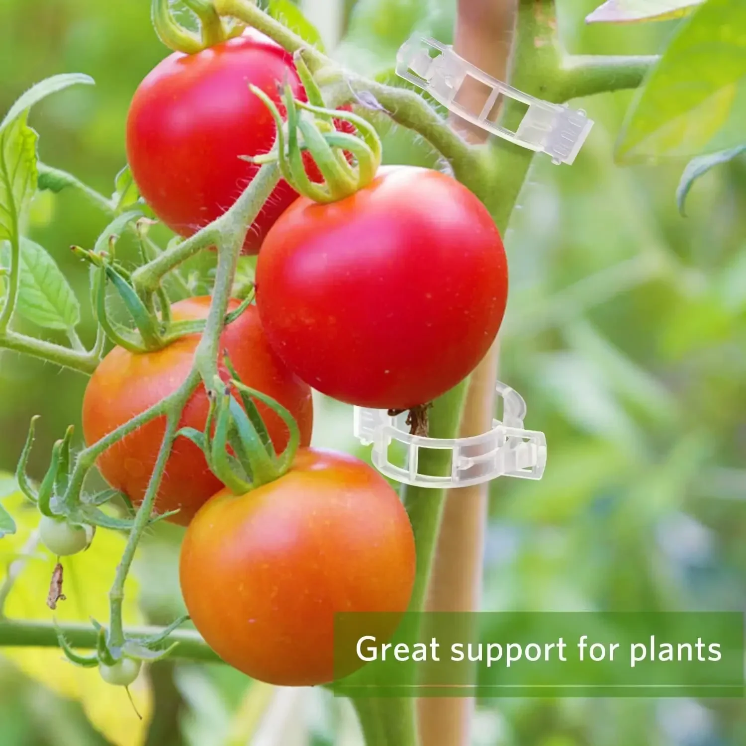 500/50PCS Plant Support Clips Reusable Plastic Connects Vine Fixing Clip Tomato Grape Vegetable Plants Holder Buckle Garden Tool