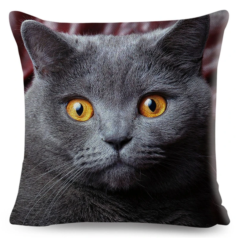 Cute Pet Animal Cushion Cover 3D Fold Ear Cat Pillow Covers 45*45cm Orange cat Blue Cat Linen Pillow Case Car Sofa Home Decor 