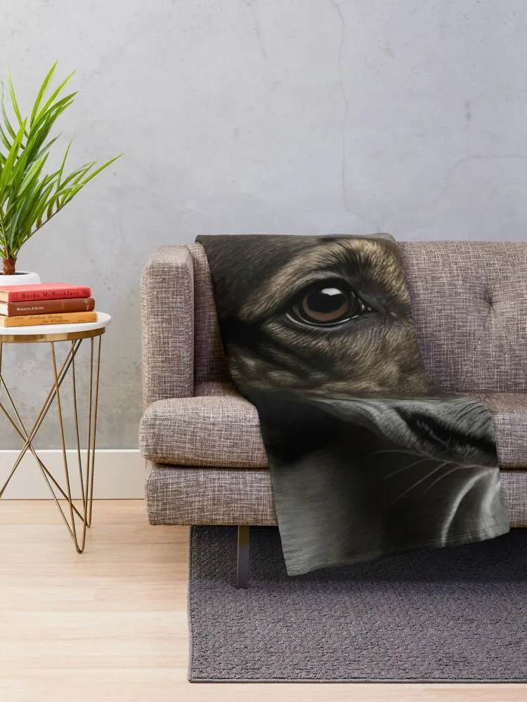 �׷����Ͽ�� ������ ����� �ʻ�ȭ, �����̳� ���� ħ��, �ܿ� ħ��, �����̴� ���