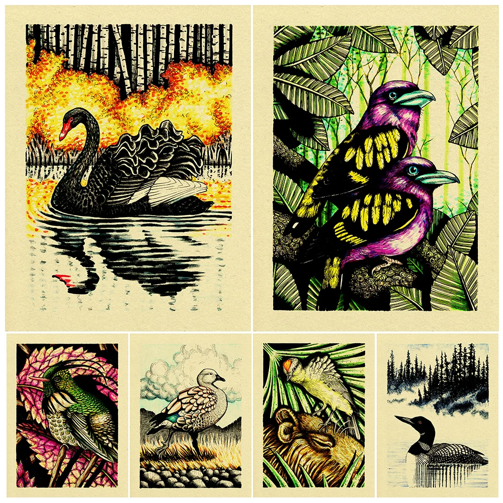 

Black Swan,Copper Sunbird,Green Herons,Openbill Vitnage Wall Art Print Flying Birds Animal Illustrations Art Poster Print Decor