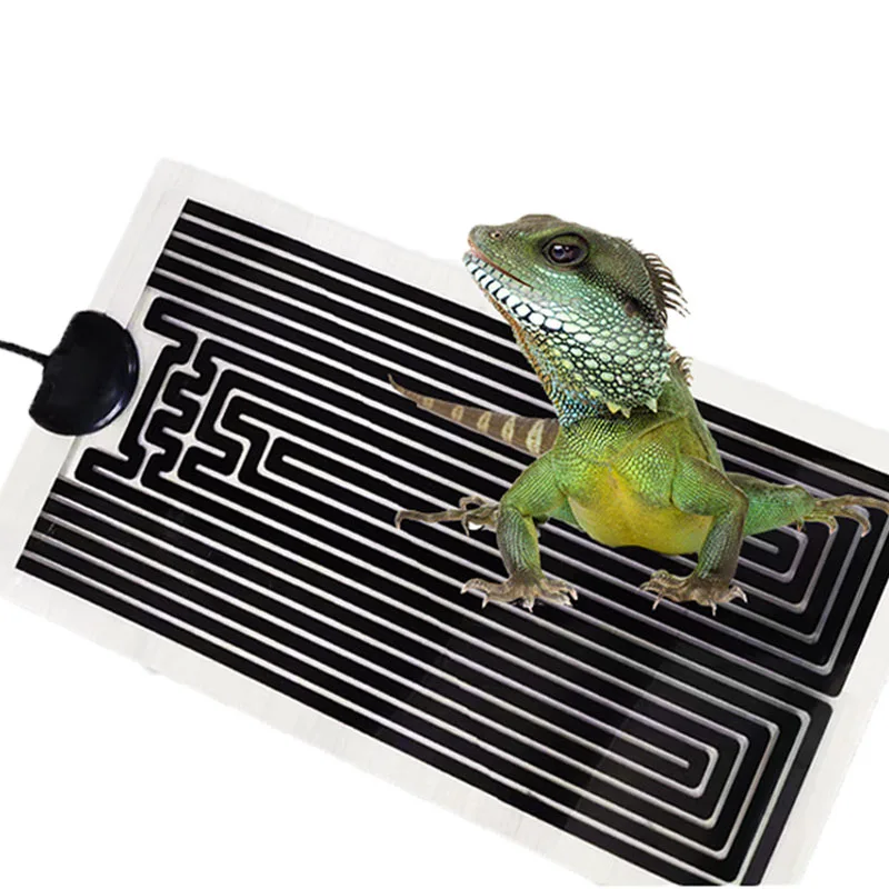 220240v Thin Pet Heater Crawling Pet Heating Pad Thermostat Silicone Heating Plate Graphene