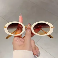 Lunettes de soleil rétro à petite monture ovale, nuances de luxe en métal de styliste pour femmes, marque de mode léopard, lunettes de soleil de plage pour dames 4