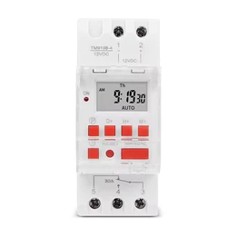 Heavy - Duty Programmable 7 - Day Digital Timer for Automatic LED Lighting Control (12V DC)