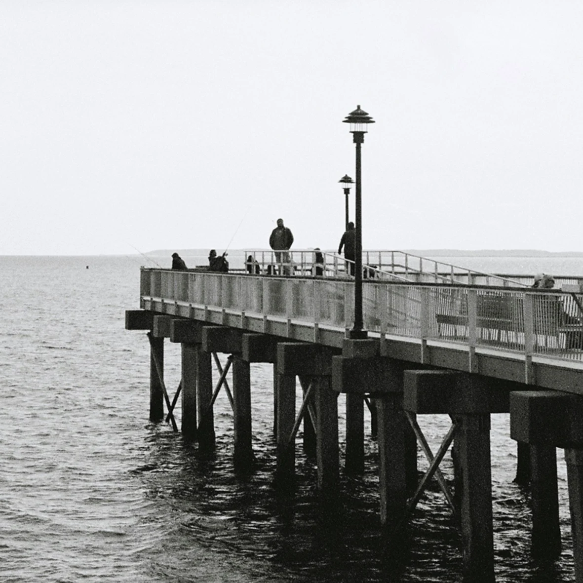 FOMAPAN 100/200/400 30.5 m 135 Black And White Disc Film Czech Reverse Original disc Packaging Disc (Shelf life: 2026)