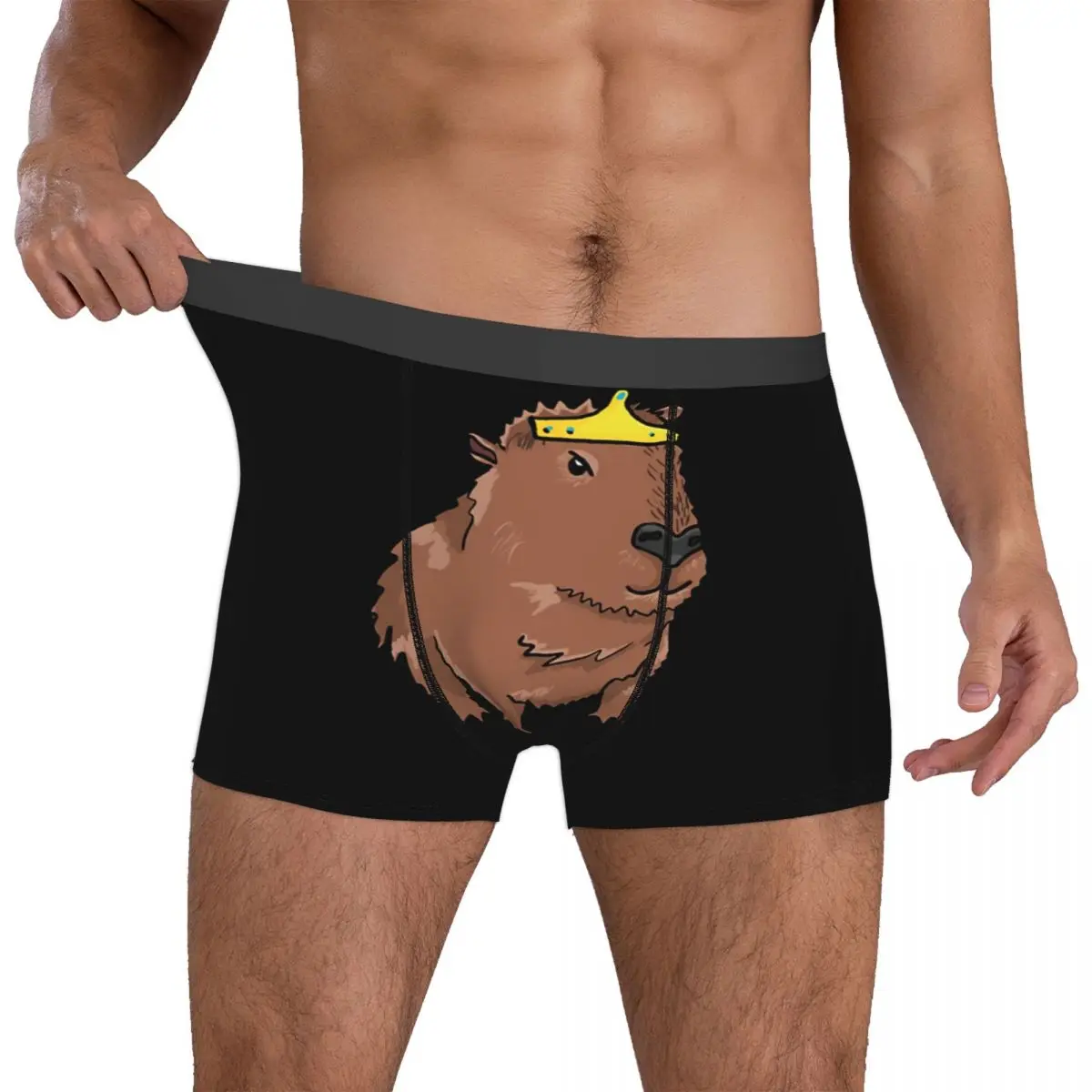 Miss Princess Man's Boxer Briefs Capybara Highly Breathable Underpants Top Quality Print Shorts Birthday Gifts 4