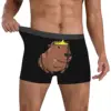 Miss Princess Man's Boxer Briefs Capybara Highly Breathable Underpants Top Quality Print Shorts Birthday Gifts 4