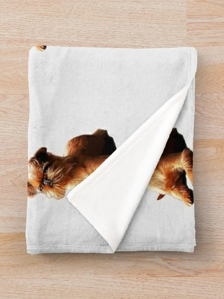 ��� �׸��� ȭ���� �� ��Ʈ ���� �ڽ����� �ִϸ��̼�  ��� ������