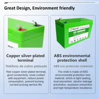 Batterie étanche 12V, grande capacité, 40a, Rechargeable au Lithium, pour pulvérisateur, voitures jouets électriques pour enfants, échelle Audio 3