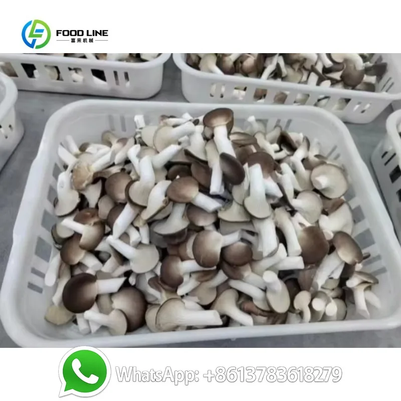 รูปสินค้า ฟาร์มเห็ดอัจฉริยะ 40 ฟุต ผลผลิตสูง