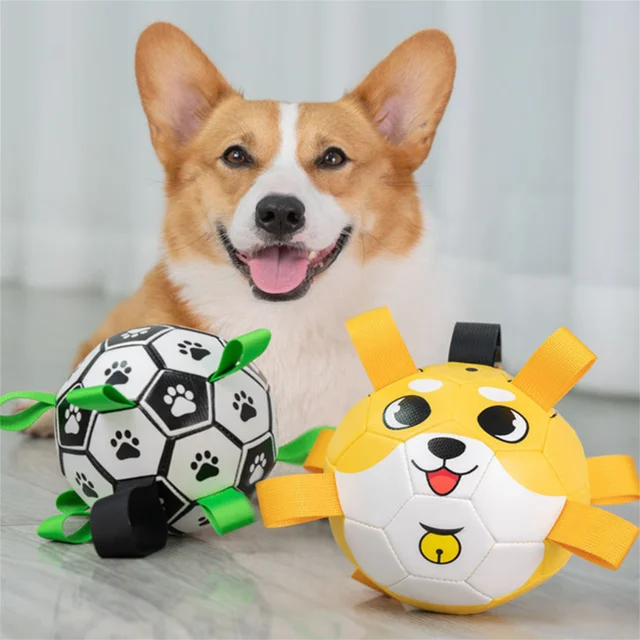 interactive toy for dogs