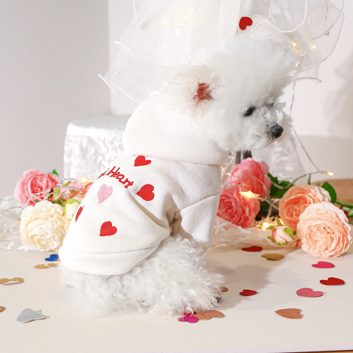 S6ba0f15480694b5798bef88a08539cf9k