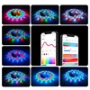 SONOFF L3 Pro 5M WiFi Smart LED Strip Light Flexible RGB Light Decoration LED Lamp Tape Smart Home Via Ewelink Alexa Google Home 3