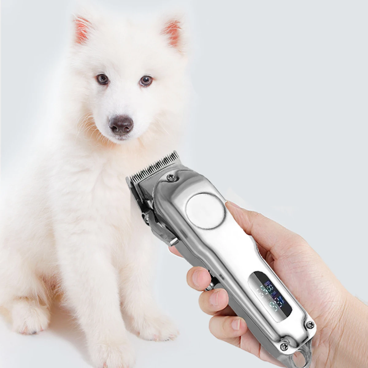 Pet Clipper Professional Dog Hair Shaver Pet Electric Clipper Cat Hair Clipper Set Pet Supplies Trimming Tools Low Noice