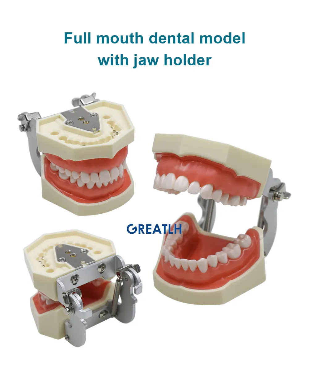 Instrumento dental do laboratório para o estudante