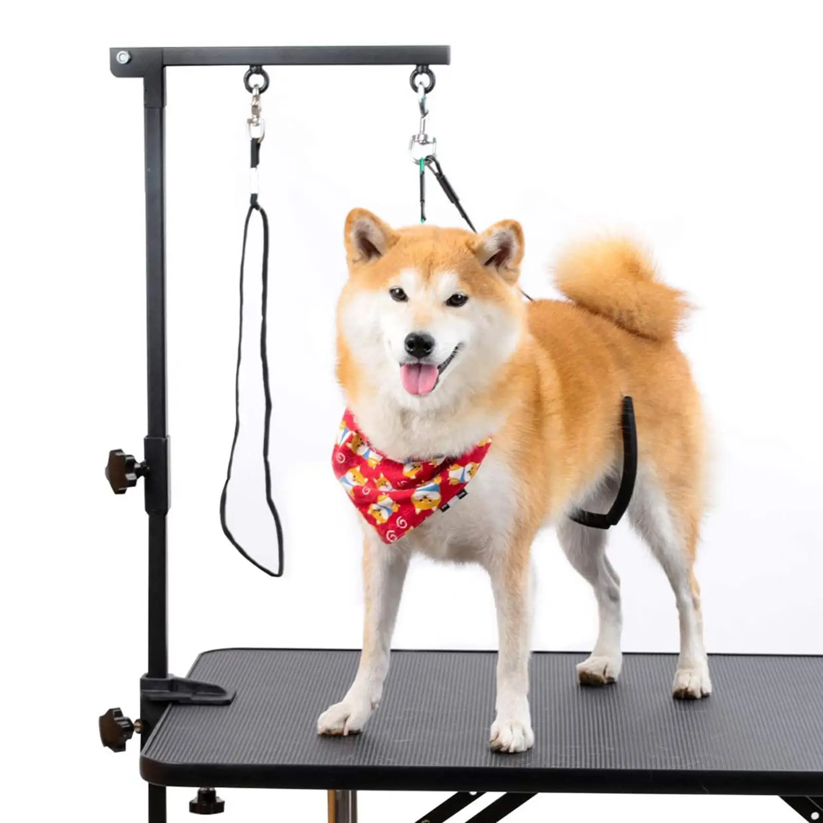 Folded Pet Grooming Arm w/ Clamp, Medium Small Dog Grooming Table