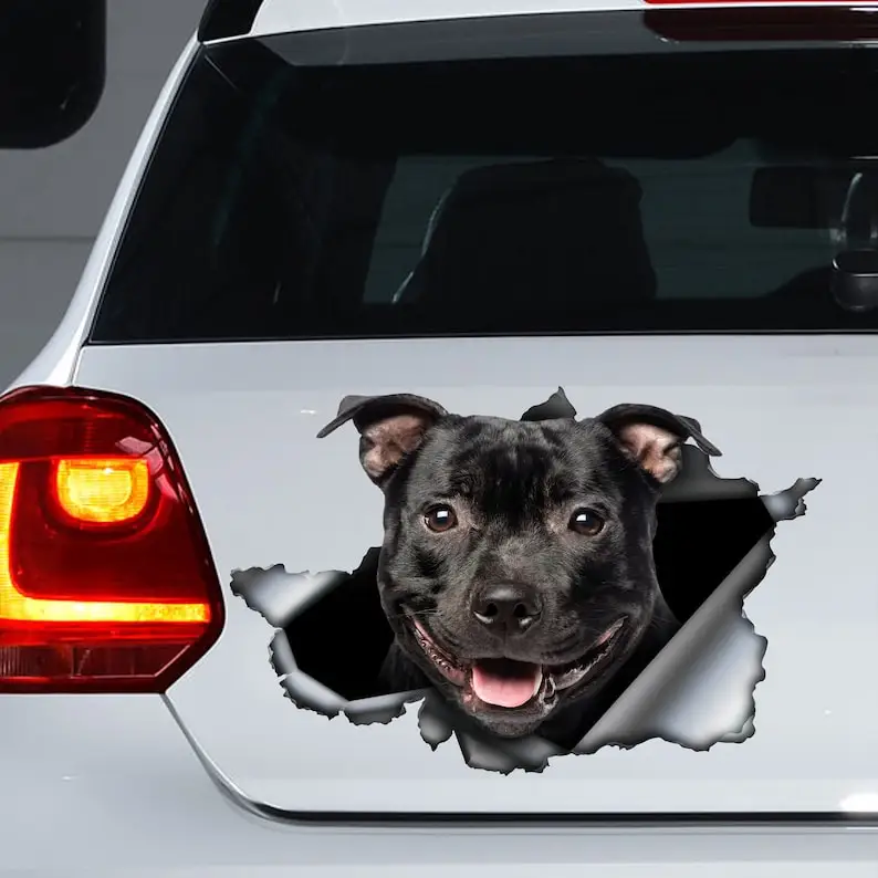 Decalcomania Black Stafstafter Bull Terrier, Magnete Stamy, Stafter Dog Sticker, Decorazione Per Auto