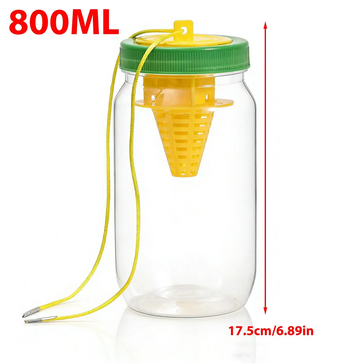 Bottle